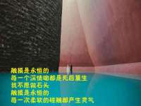 义乌市晚亭电子商务商行