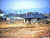 义乌市晚亭电子商务商行