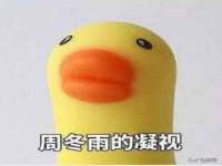 义乌市晚亭电子商务商行