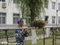 义乌市晚亭电子商务商行