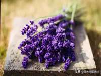 义乌市晚亭电子商务商行