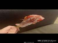 义乌市晚亭电子商务商行